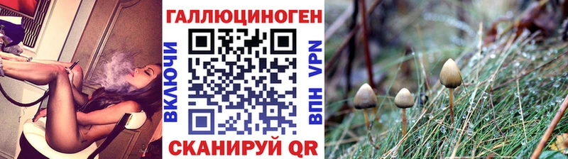 купить наркотики сайты Лагань Галлюциногенные грибы GOLDEN TEACHER